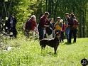 DAV Maiwanderung 2014 (5)